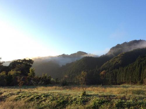 51861064_778313225887474_6633173390595194880_n